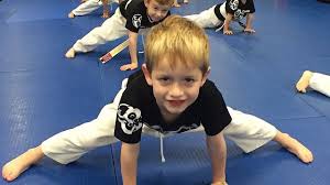 Image result for New Path Martial Arts Academy