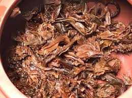 Image result for 2011早春