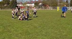 Image result for Haresfinch Amateur Rugby League Football Club