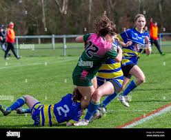 Image result for Halton Farnworth Hornets A R L F C