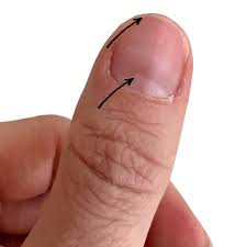 Image result for lunula nail