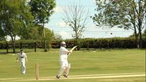 Image result for Yelverton Bohemians Cricket Club