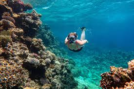 Image result for Ruislip Snorkelling Club
