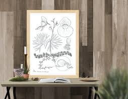 Attēlu rezultāti vaicājumam “Utricularia intermedia leaf”