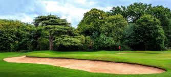 Image result for Peterborough Milton Golf Club Ltd