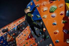 Image result for Craiglockhart Judo Club