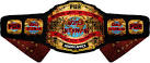 PWA World Interbrand Championship - The eWrestling Encyclopedia