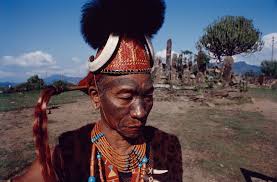 Kuvahaun tulos haulle nagas