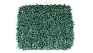 Image result for Astroturf