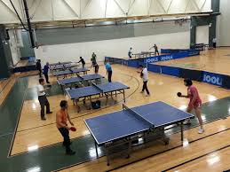 Image result for Dml Woolwell Table Tennis Club