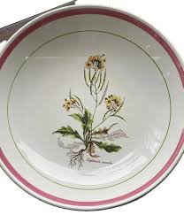 Attēlu rezultāti vaicājumam “Diplotaxis muralis fruit”