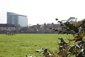 Image result for Swyncombe Cricket Club