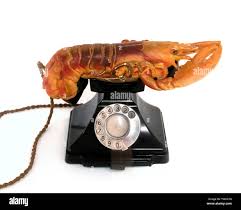Image result for dali lobster telephone