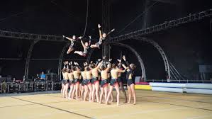 Image result for Custom Gymnastics Club