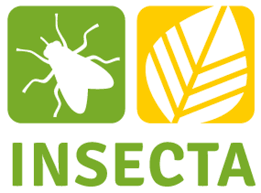 Attēlu rezultāti vaicājumam “Insecta”