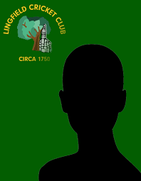 Image result for Lingfield Cricket Club