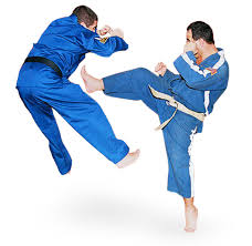 Image result for Ji Shin Do Karate