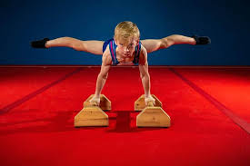 Image result for Wolverhampton Gymnastics Club
