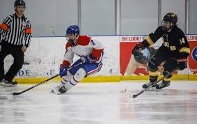 Image result for Demons Skater Hockey Club