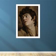 Attēlu rezultāti vaicājumam “Collaria rubens young”