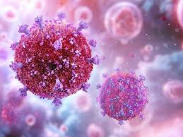 Image result for фотография вируса вич