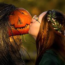 Image result for bilder