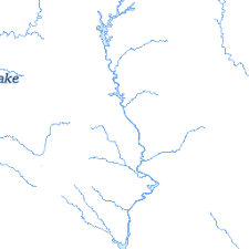 Image result for Alosa alabamae