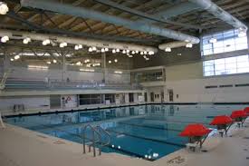 Image result for York University Pool Club