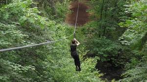 Image result for Go Ape! Grizedale