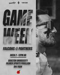 Image result for Ukc Falcons