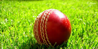 Image result for Gloucester City Winget Cricket Club