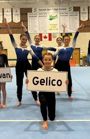 Image result for Sankey Springers Gymnastics Club