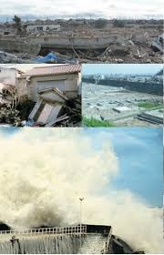 Image result for 耐震 大津波無力