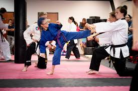 Image result for Freedom Martial Arts
