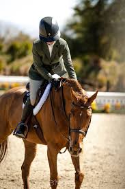 Image result for Fisher Equestrian