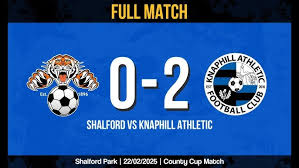 Image result for Shalford F C