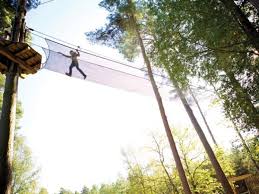 Image result for The Go Ape Experience (Delamere Forest)
