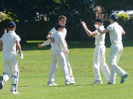 Image result for Aston Ingham Cricket Club