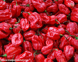 Afbeeldingsresultaat voor 7 pot hot pepper