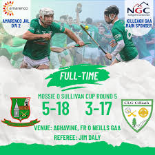 Image result for Killeagh Gaa