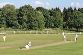 Image result for Hook Norton Junior Cricket Club