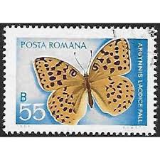 Attēlu rezultāti vaicājumam “Argynnis laodice”