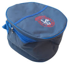 Image result for Chiddingfold Branch Of The Pony Club