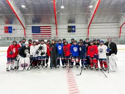 Image result for Vipers Roller Hockey Team