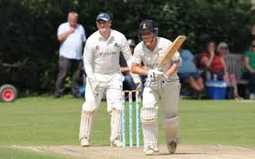 Image result for Aston Ingham Cricket Club