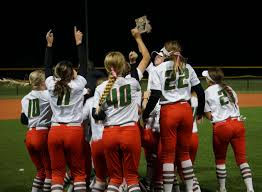 Image result for Dragons Softball Club