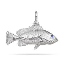 Image result for Epinephelus striatus