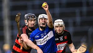 Image result for Sarsfields Hurling Club