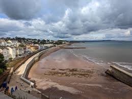 Image result for Dawlish Sc