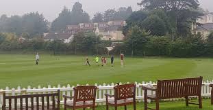 Image result for Torquay Cricket Club